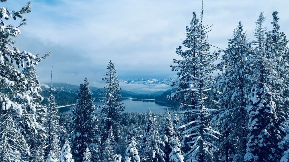 Snow covered tree surround Donner Lake off Interstate 80 (Kenzie Margiott/KRNV)