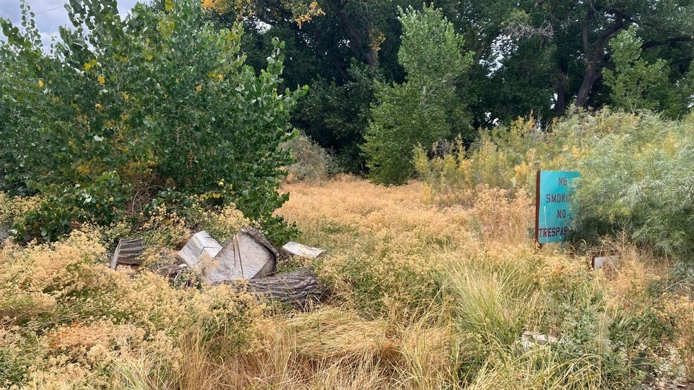 Image for story: Reno seniors fear fire risk from overgrown lot next to apartments