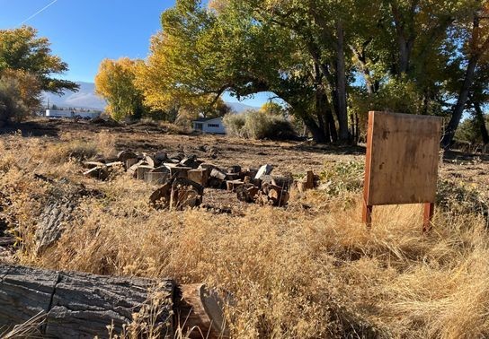 Image for story: City enforcement ensures safety by clearing potential fire threat in south Reno